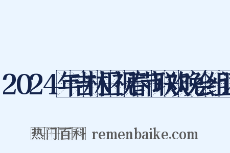 2024年吉林卫视春节联欢晚会组词是什么意思的图片